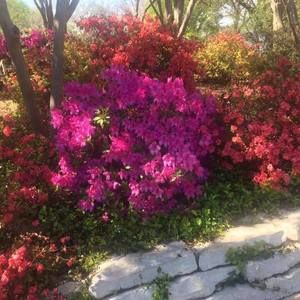 Meet your Posher, Reba